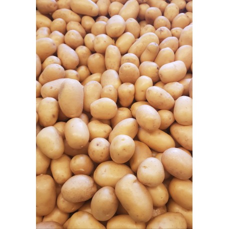 Pommes de terre nouvelles petites