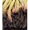 Asperge verte du Valais (VS)