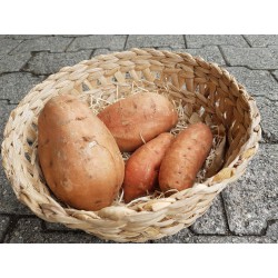 Pommes de terre douce