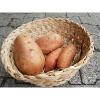 Pomme de terre douce (Espagne/Portugal)