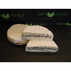 Tomme truffée