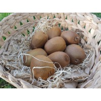 Kiwi vert (France-Italie)