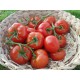 Tomates grappes