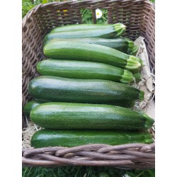 Courgettes petites