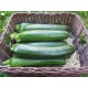 Courgette moyenne (Italie/Espagne)