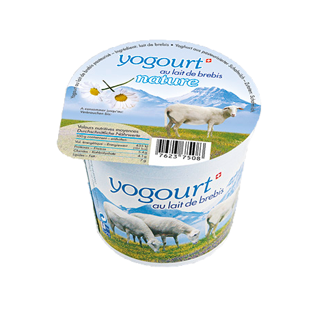 Yogourt au lait de Brebis nature (Vaud)