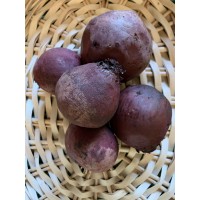 Betterave rouge cuite (GE)