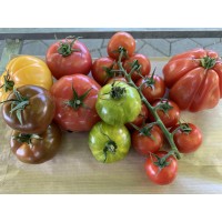 Assortiment de tomates (Genève)