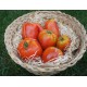 Tomates coeur de boeuf