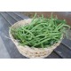 Haricot vert (Italie)