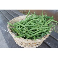 Haricot vert (Italie)