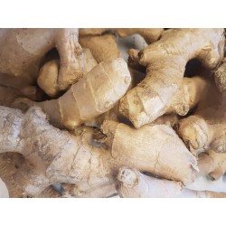 Gingembre